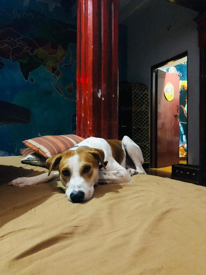 Gurukulam Hostel ポンディシェリ エクステリア 写真